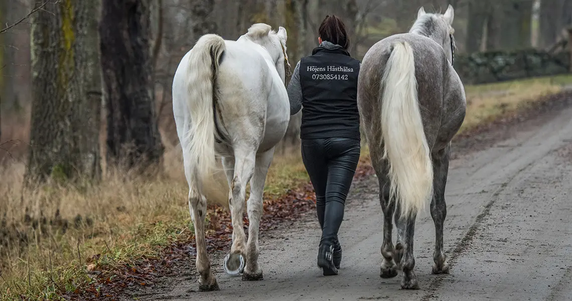 Ryttare med två hästar
